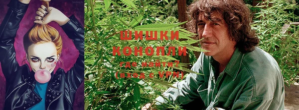 крисы Абдулино