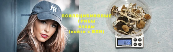 спиды Абинск