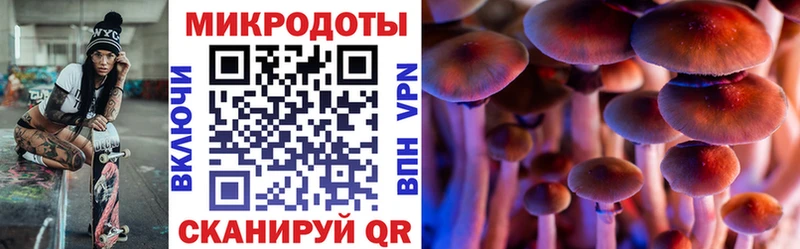продажа наркотиков  Ивангород  Галлюциногенные грибы прущие грибы 